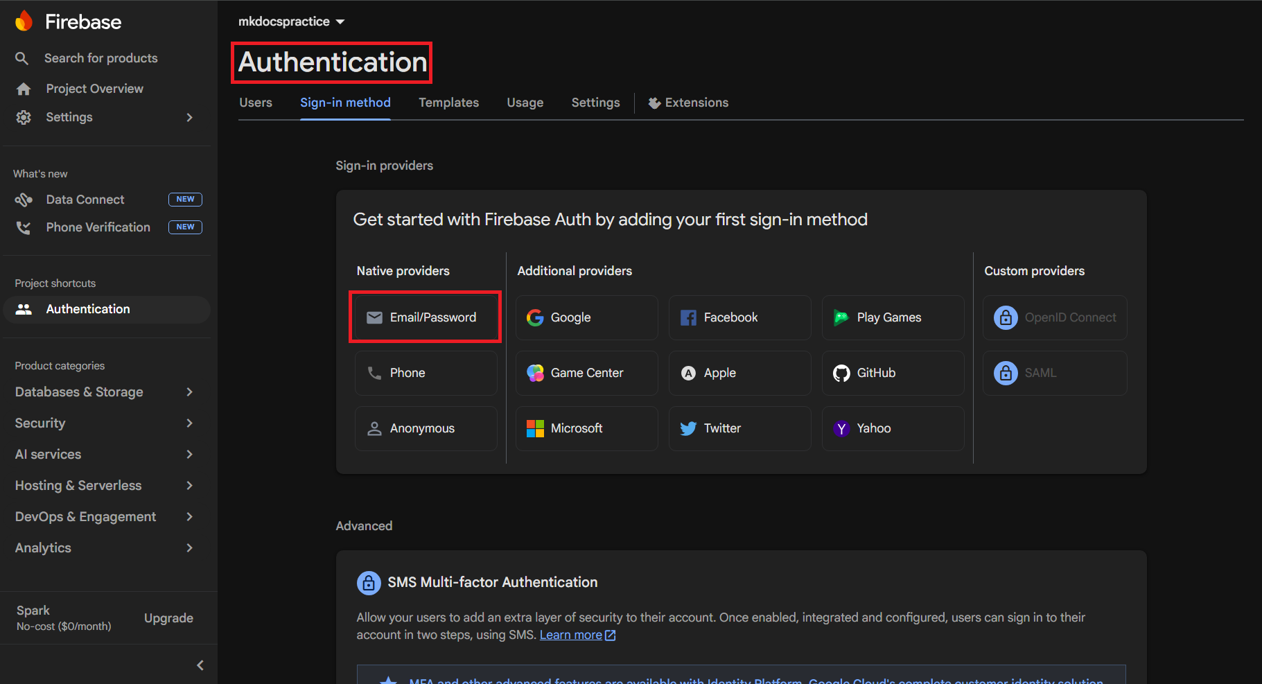 Sign-in method tab showing the Email/Password provider
