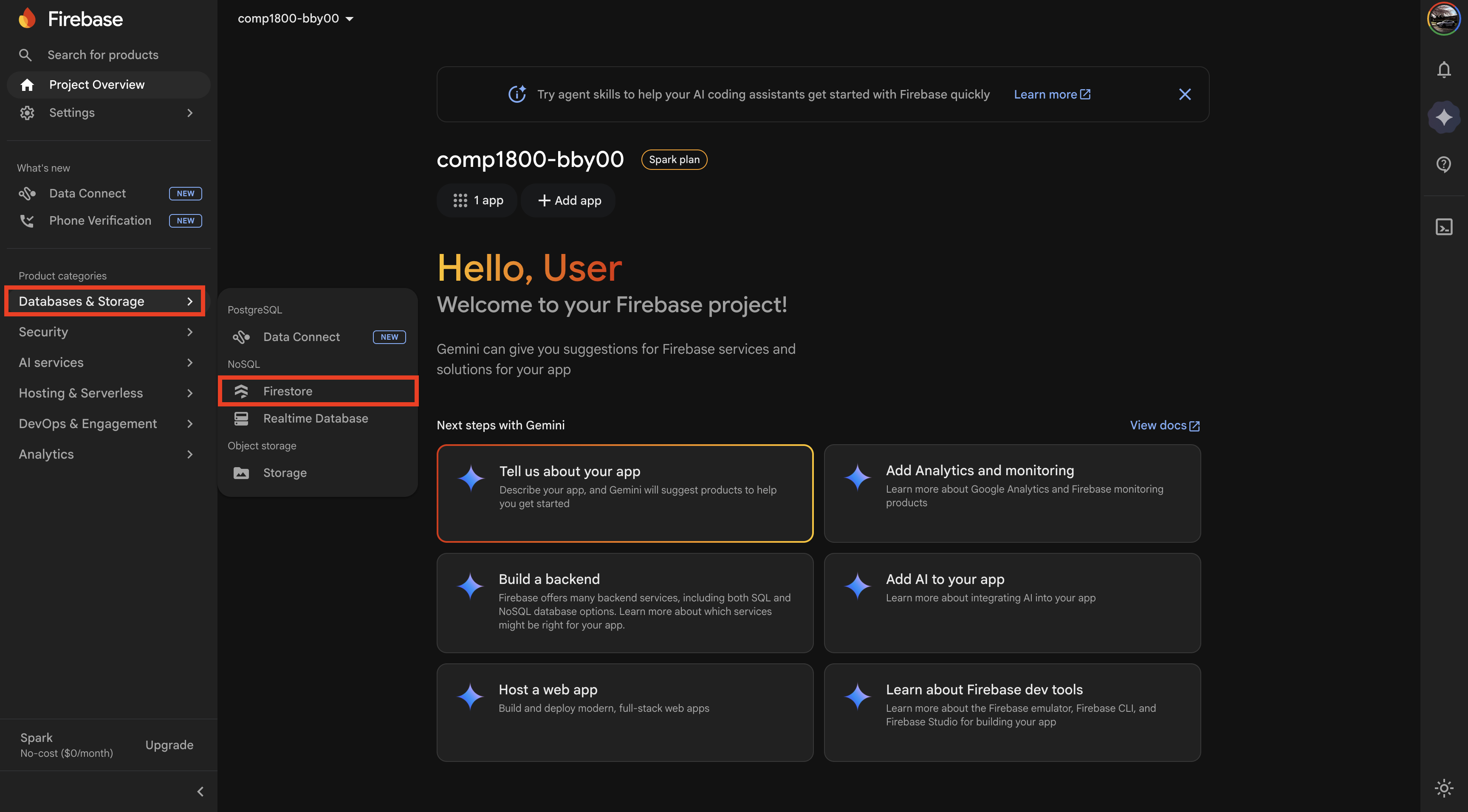 Firebase sidebar with Databases and Storage menu expanded