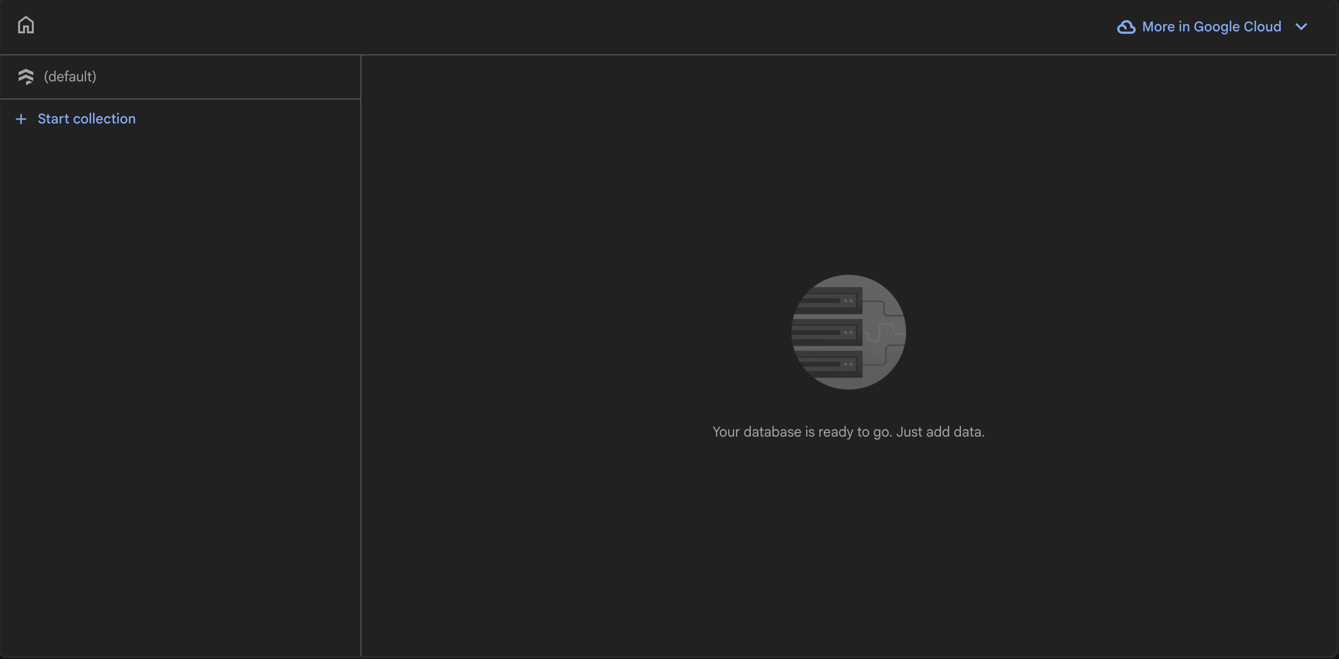 Empty Firestore data viewer
